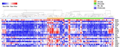 Assessment of 19 Genes and Validation of CRM Gene Panel for Quantitative Transcriptional Analysis of Molecular Rejection and Inflammation in Archival Kidney Transplant Biopsies